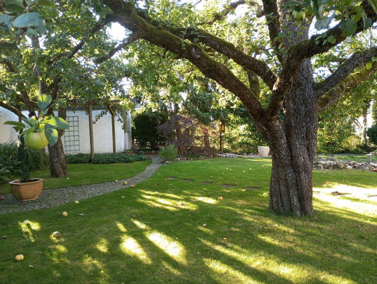 Mehrfamilienhaus – Burgkunstadt – Vorschaubild 11