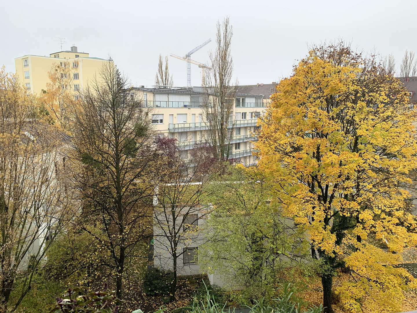 Lichtdurchflutete, sonnige Wohnung Olympiapark/ FH/ Neuhausen – München(Neuhausen) – Vorschaubild 4