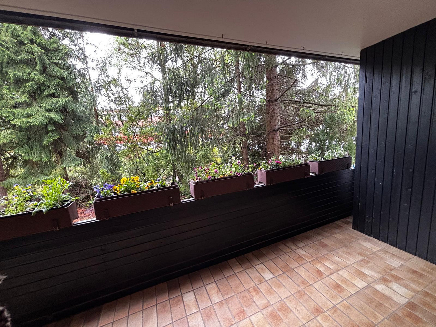 3 Zimmer Wohnung mit Balkon in Hondelage als Eigennutz oder Vermietung – Hondelage – Vorschaubild 2