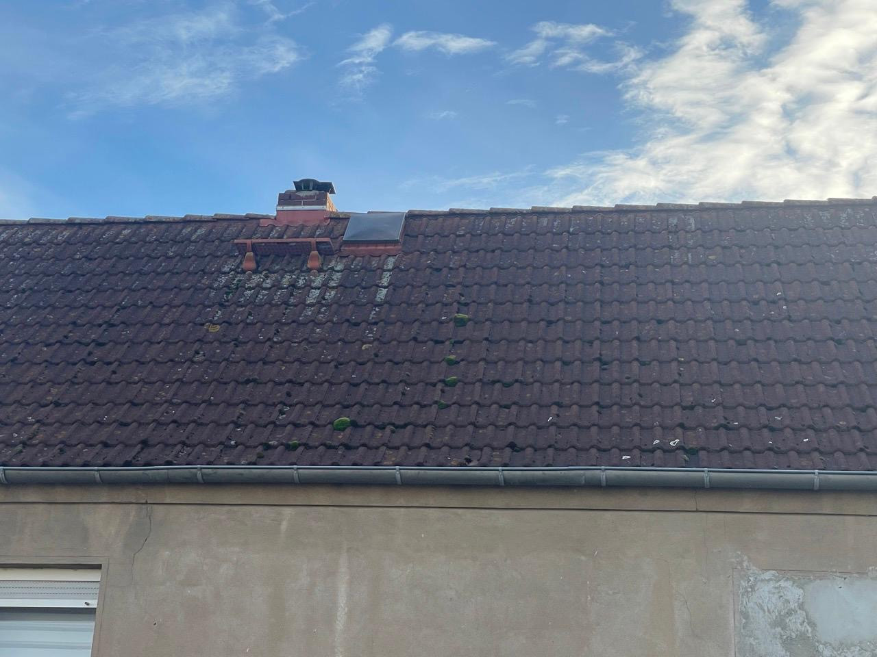 DHH an einem malerischen See - verkehrsberuhigte Anliegerstrasse – Zu den Teichen 14A, 39387 Oschersleben Ampfurth(Ampfurth) – Vorschaubild 9