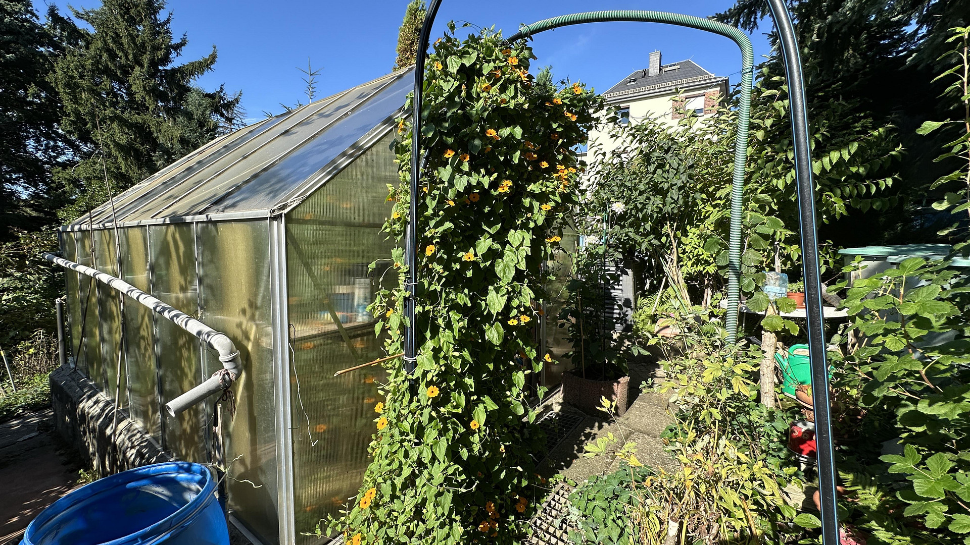 Eigenheim am SW-Stadtrand mit schönem Garten – Chemnitz OT Schönau(Schönau) – Vorschaubild 43