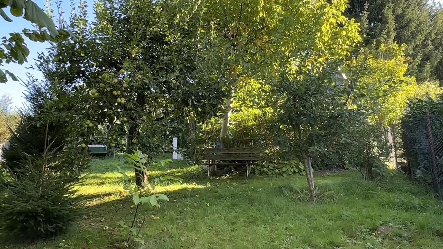 Eigenheim am SW-Stadtrand mit schönem Garten – Chemnitz OT Schönau(Schönau) – Vorschaubild 44