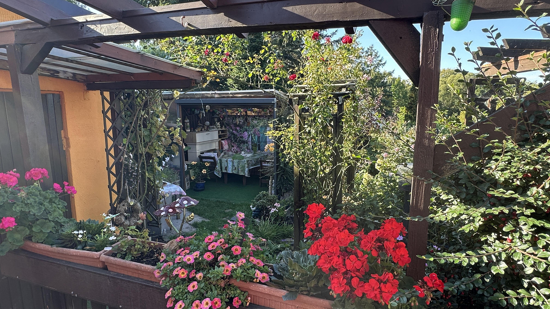 Eigenheim am SW-Stadtrand mit schönem Garten – Chemnitz OT Schönau(Schönau) – Vorschaubild 36