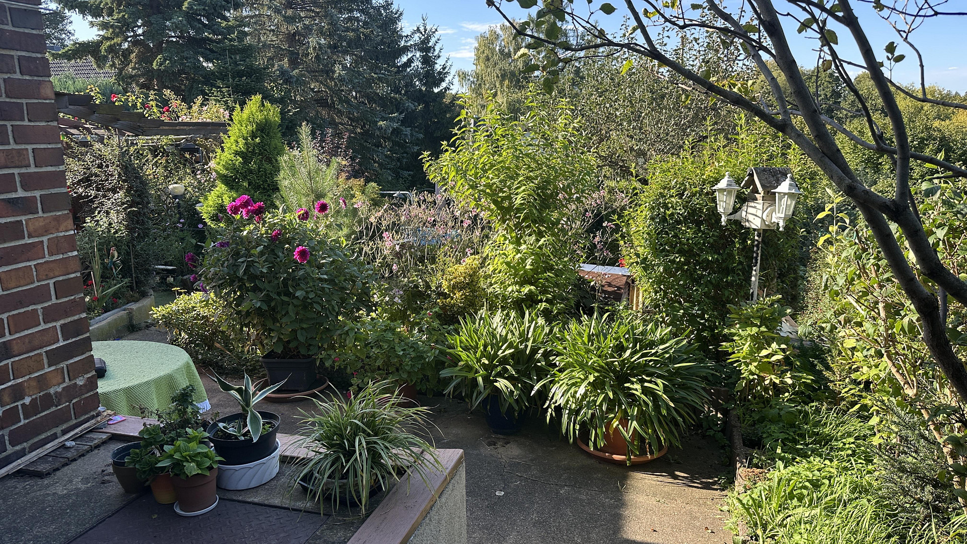 Eigenheim am SW-Stadtrand mit schönem Garten – Chemnitz OT Schönau(Schönau) – Vorschaubild 31