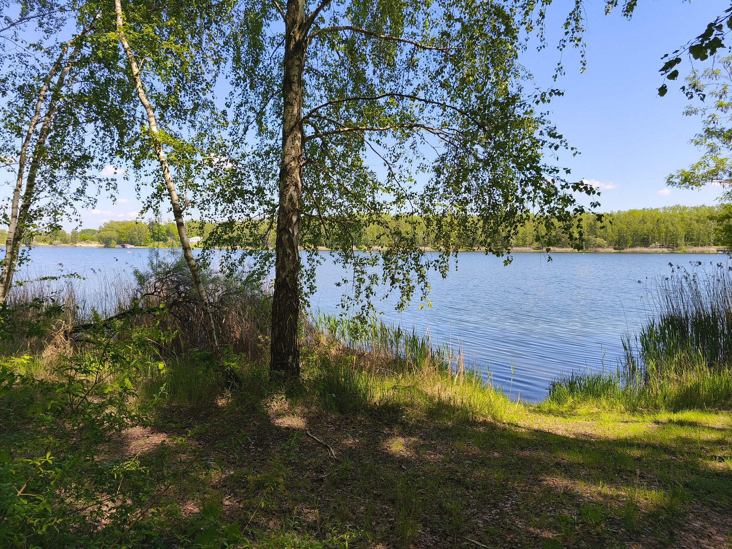 Schönes Reihenhaus in historischer Werkssiedlung Zschornewitz mit Fertigstellungsbedarf – Ringweg 26, 6772 Zschornewitz – Vorschaubild 27