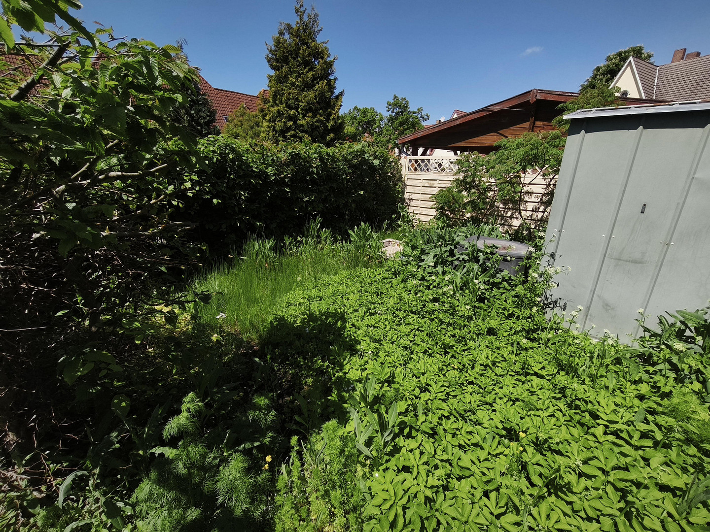 Schönes Reihenhaus in historischer Werkssiedlung Zschornewitz mit Fertigstellungsbedarf – Ringweg 26, 6772 Zschornewitz – Vorschaubild 22