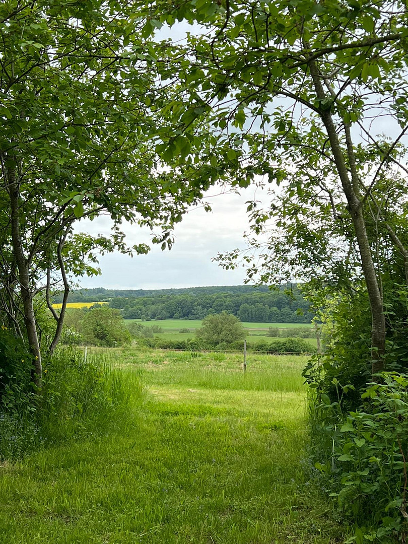 21 Hektar Paradies – Häuser, edle Nebengebäude, Acker, Wiesen, Wald und Wasser – Wietzow, 17129 Daberkow(Wietzow) – Vorschaubild 20