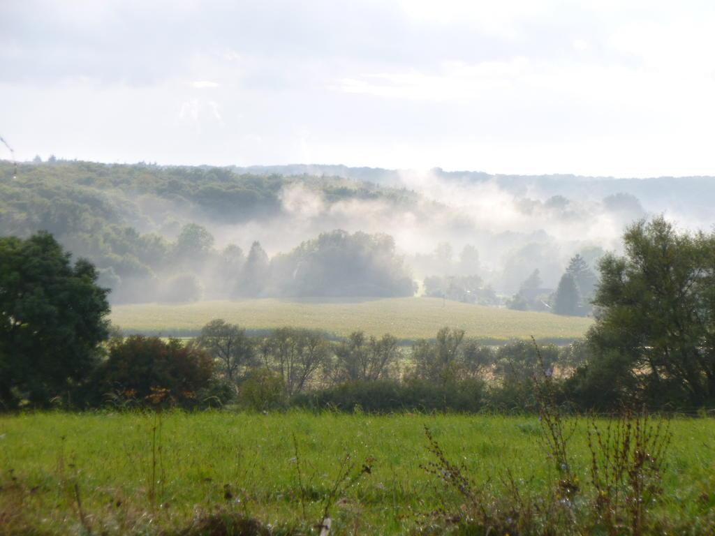 21 Hektar Paradies – Häuser, edle Nebengebäude, Acker, Wiesen, Wald und Wasser – Wietzow, 17129 Daberkow(Wietzow) – Vorschaubild 47