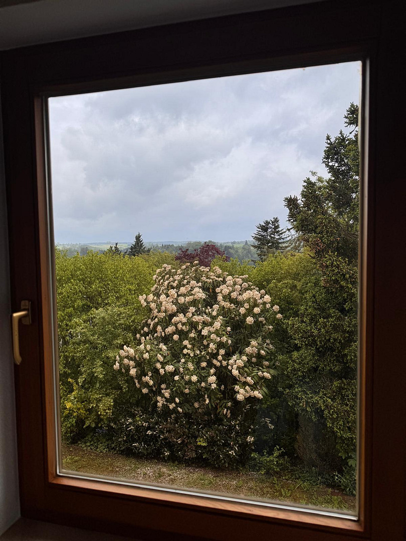 Gepflegtes REH mit Garten und Aussicht - ruhig, hell, familienfreundlich – Wildberg – Vorschaubild 12