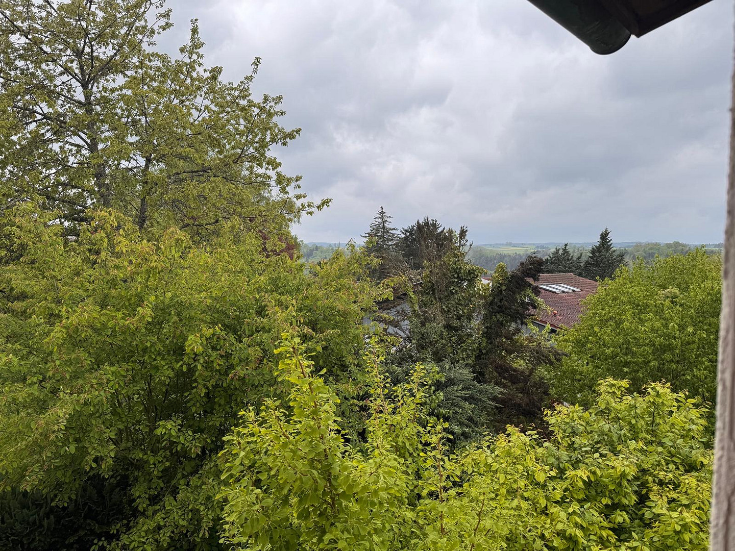 Gepflegtes REH mit Garten und Aussicht - ruhig, hell, familienfreundlich – Wildberg – Vorschaubild 11