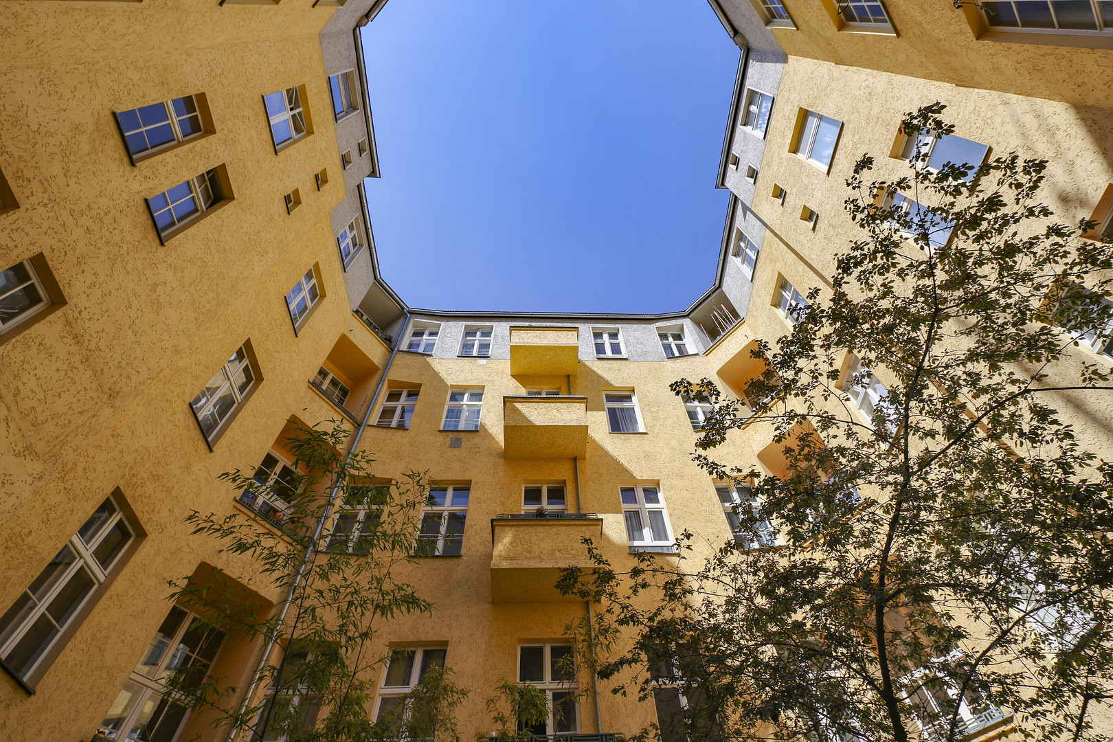 Lichtdurchflutetes Altbau-Juwel in der Kastanienallee – Berlin(Prenzlauer Berg) – Vorschaubild 25