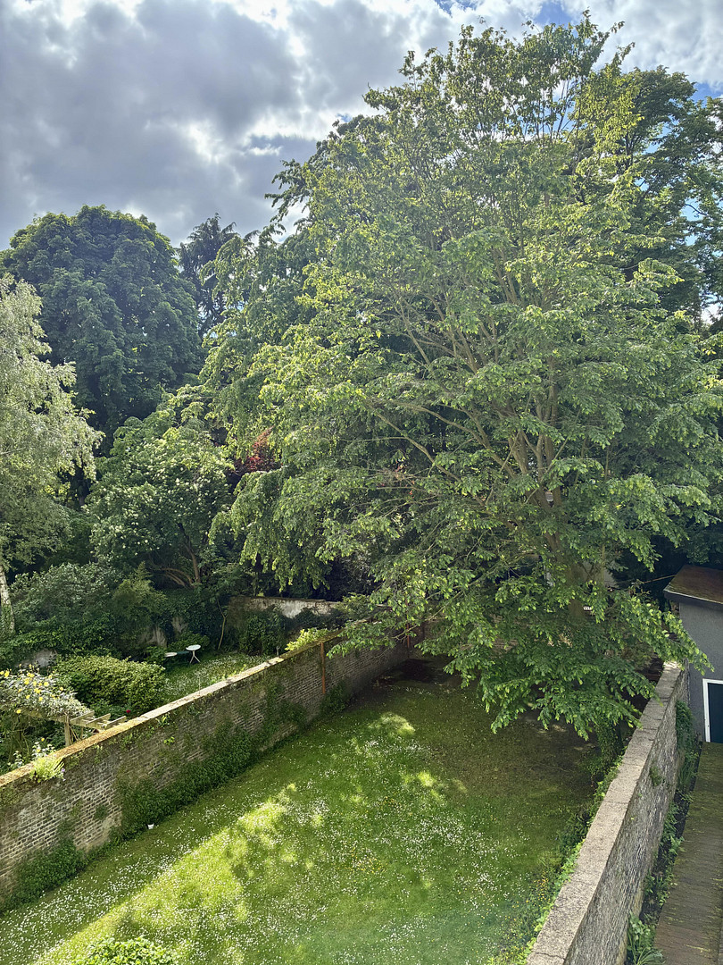 Provisionsfrei - wunderschöne, vermietete Altbauwohnung m. 3 Zimmern, heller Wohnküche, Balkon – 50735 Köln(Riehl) – Vorschaubild 11