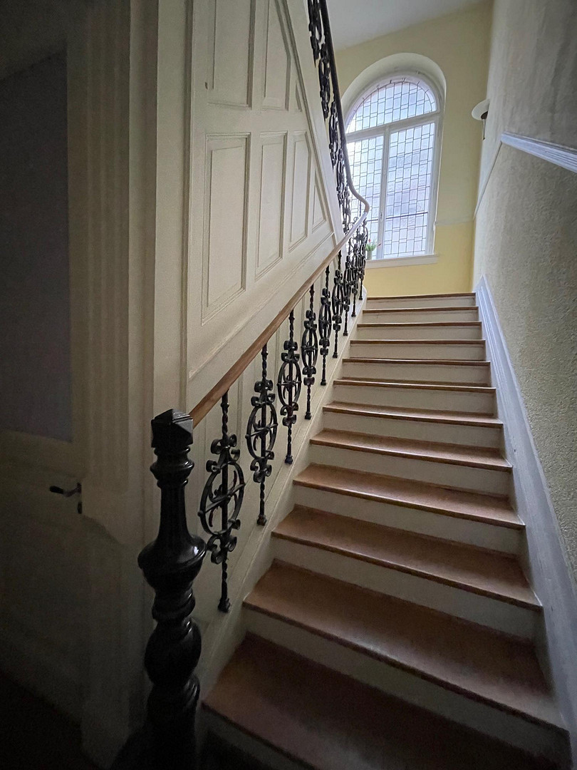 Wunderschöne Altbauwohnung in Top Lage in Mainz Neustadt mit Rheinblick