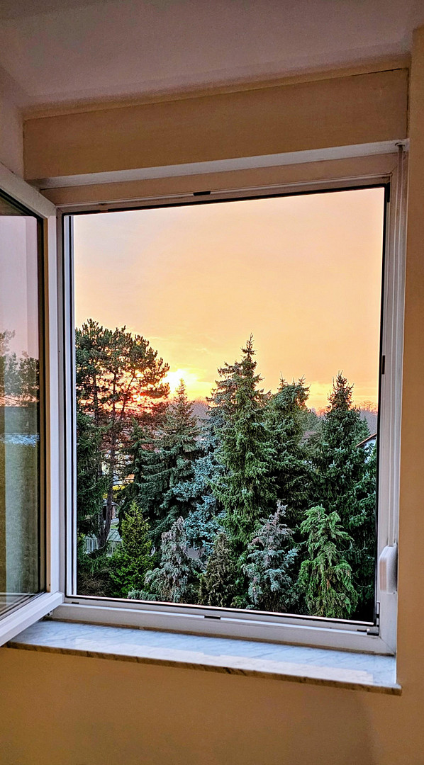 Sonnige und frisch sanierte 2- Zimmerwohnung – Leipzig(Mölkau) – Vorschaubild 2