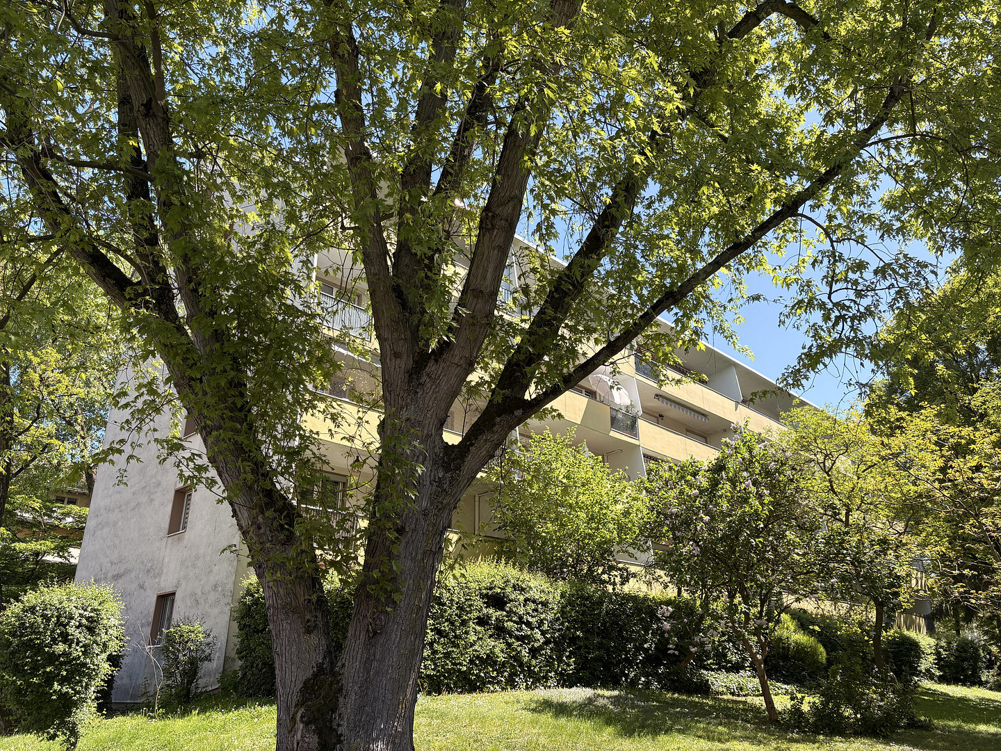 Renditestarke 3 Zimmer-Wohnung mit Balkon in einer sehr guten Lage zu verkaufen – 60528 Frankfurt(Niederrad) – Vorschaubild 24