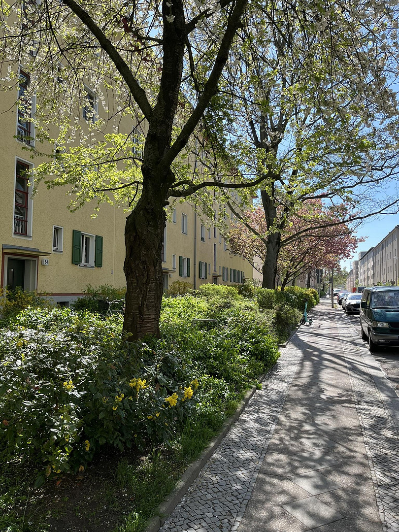 Gelegenheit: Bezugsfreie Wohnung in bevorzugter Lage ruhig und dennoch zentral gelegen – Sültstraße 50, 10409 Berlin(Prenzlauer Berg) – Vorschaubild 3