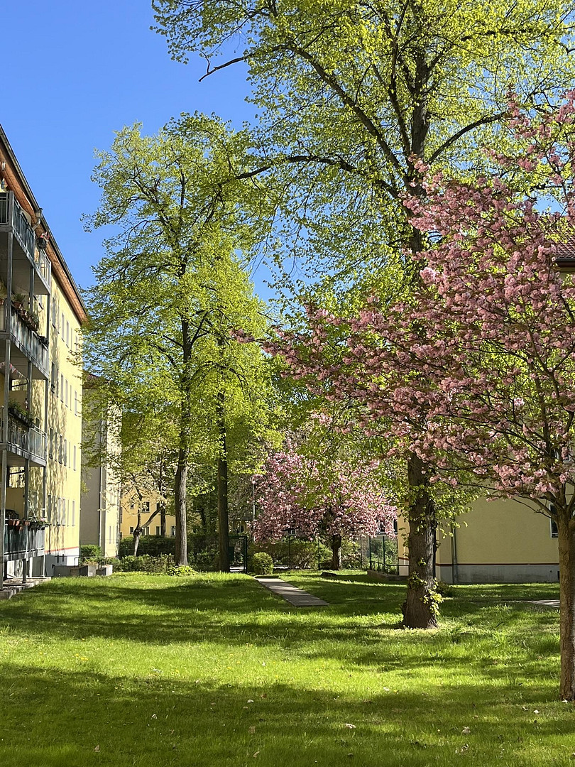 Gelegenheit: Bezugsfreie Wohnung in bevorzugter Lage ruhig und dennoch zentral gelegen – Sültstraße 50, 10409 Berlin(Prenzlauer Berg) – Vorschaubild 17