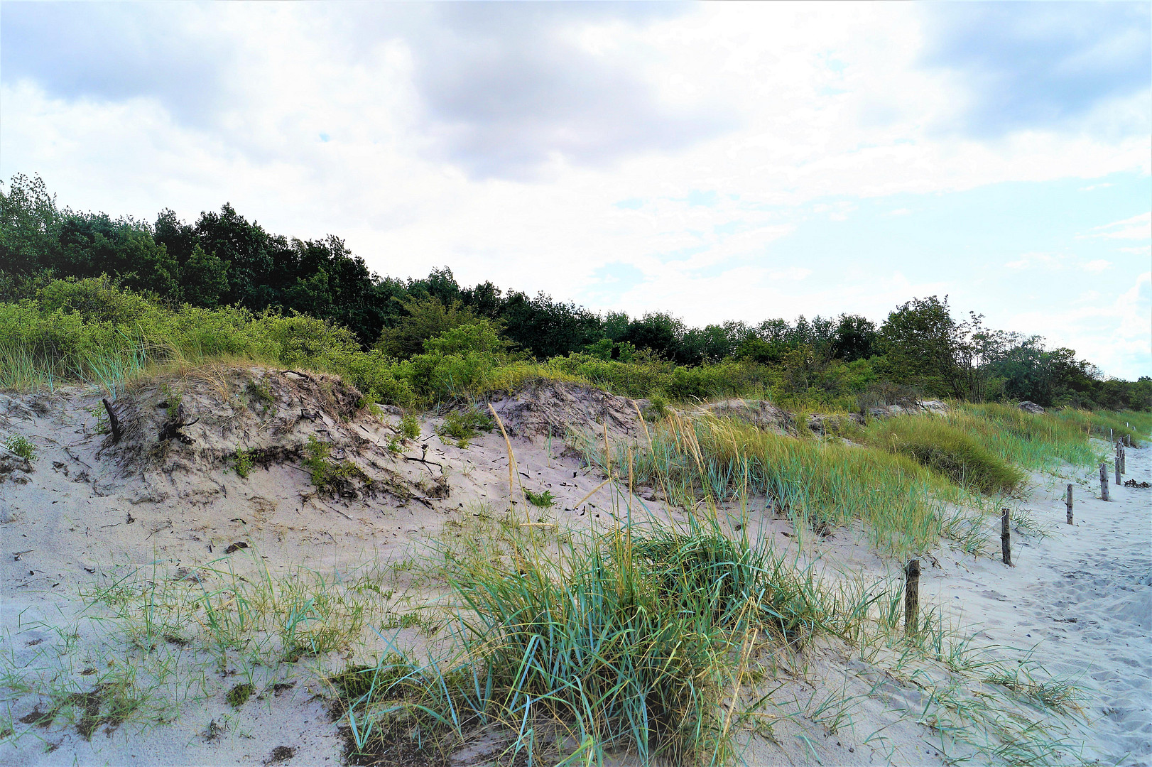 Großes Ostsee-Ferienhaus im idyllischen Barendorf (ohne Makler) – Strandkoppel 25b, 23942 Dassow OT Barendorf(Barendorf) – Vorschaubild 10