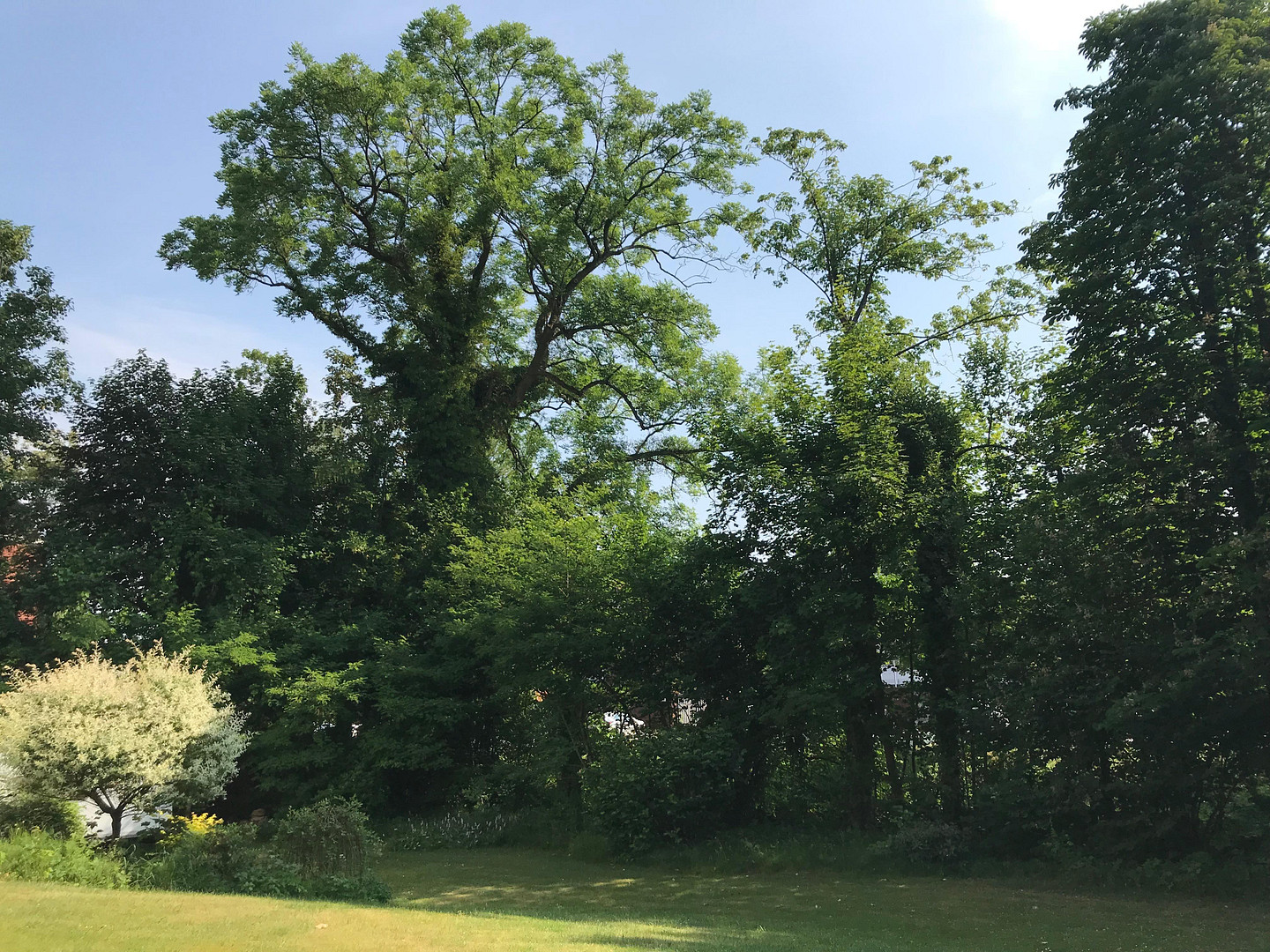 Stadtvilla in grüner Oase im Zentrum Neumünsters – Hinter der Kirche 12, 24534 Neumünster – Vorschaubild 25