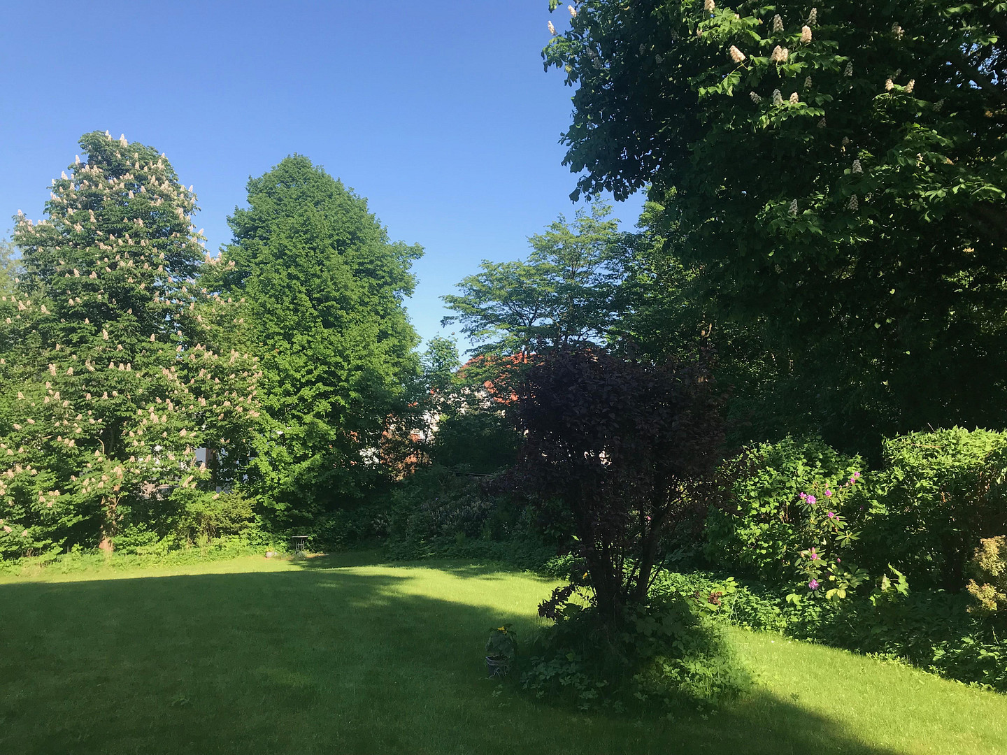 Stadtvilla in grüner Oase im Zentrum Neumünsters – Hinter der Kirche 12, 24534 Neumünster – Vorschaubild 17