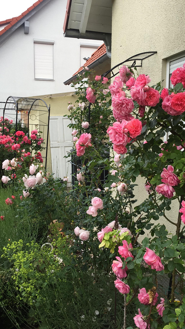 Feldrandlage &Sonnenuntergang, freistehendes Einfamilienhaus mit 224 qm und PV Anlage – Schwäbisch Hall(Hessental) – Vorschaubild 26