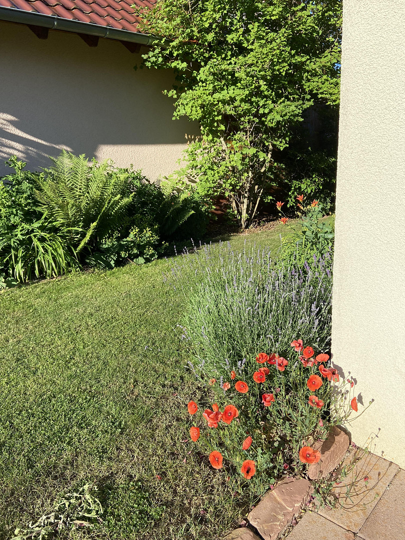 Feldrandlage &Sonnenuntergang, freistehendes Einfamilienhaus mit 224 qm und PV Anlage – Schwäbisch Hall(Hessental) – Vorschaubild 28