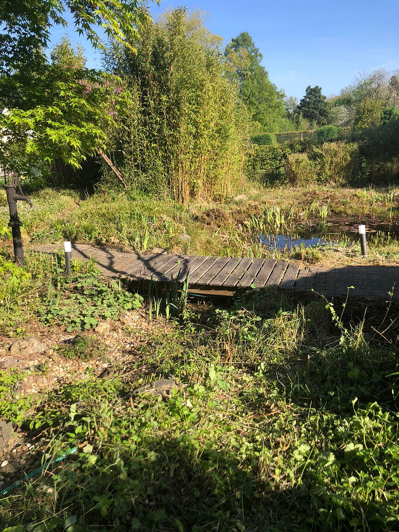 Exklusive Wohlfühloase - Außergewöhnliches Einfamilienhaus mit parkähnlichem Garten – Aachen(Verlautenheide) – Vorschaubild 23