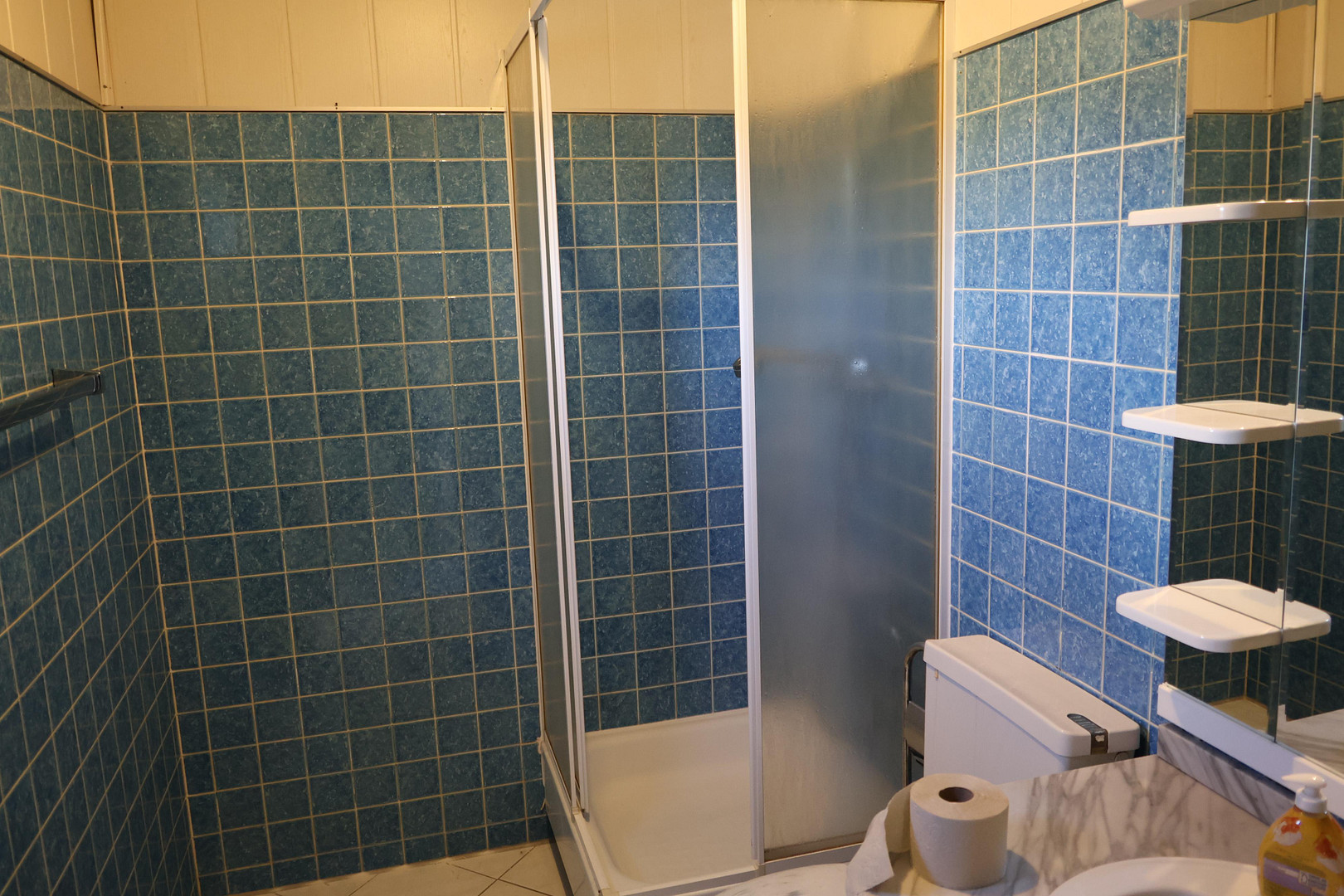 Bungalow am Waldrand zwischen Köln und Düsseldorf – Moselstrasse 21, 41540 Dormagen(Hackenbroich) – Vorschaubild 28