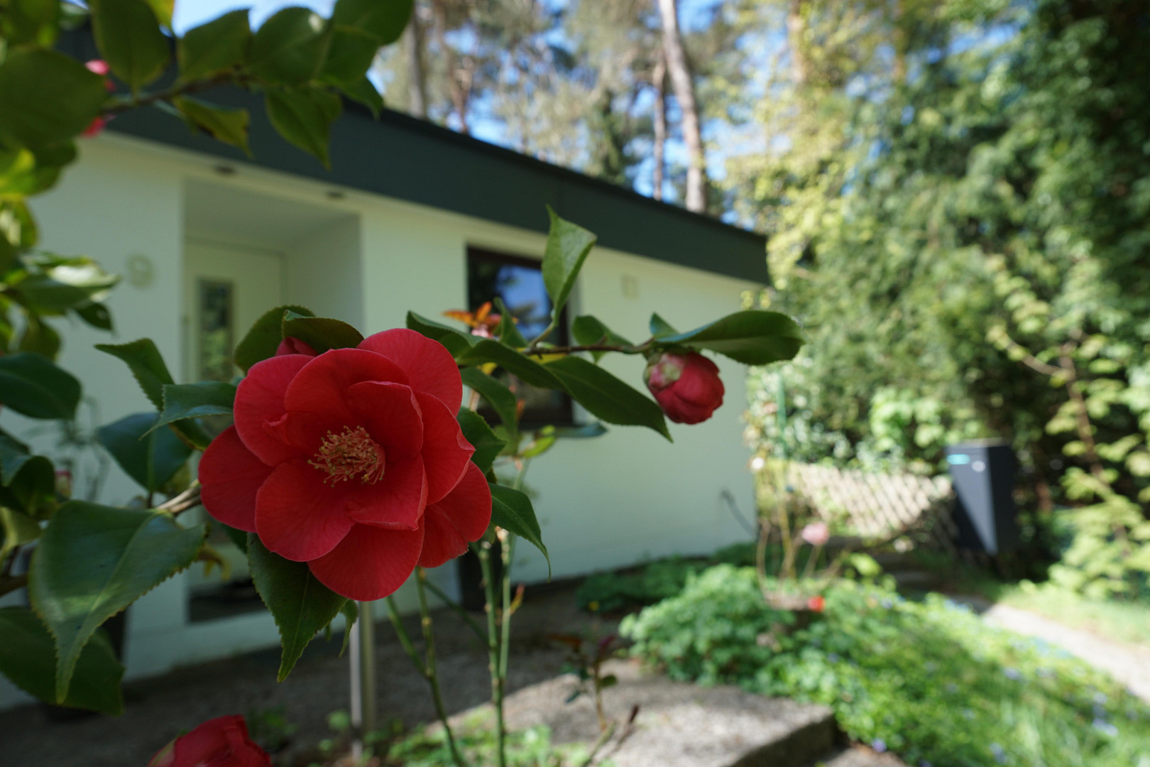 Einmaliges Sackgassengrundstück am Naturschutzgebiet – Bungalow direkt am Waldrand - provisionsfrei – Hamburg(Hausbruch) – Vorschaubild 14
