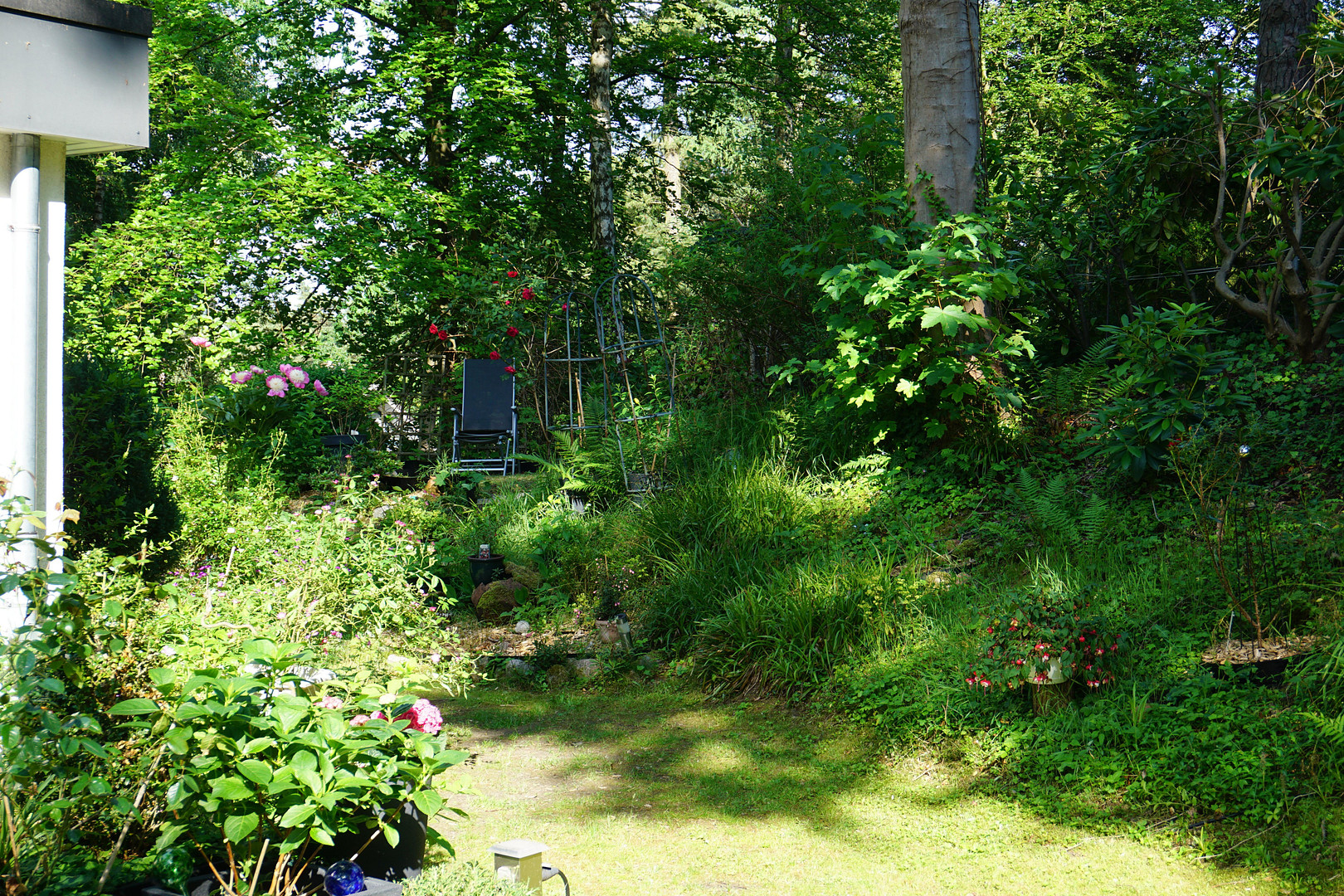 Einmaliges Sackgassengrundstück am Naturschutzgebiet – Bungalow direkt am Waldrand - provisionsfrei – Hamburg(Hausbruch) – Vorschaubild 6
