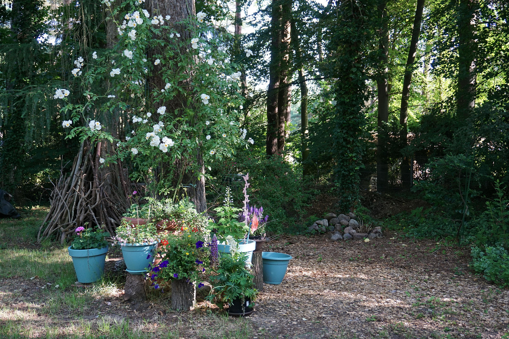 Einmaliges Sackgassengrundstück am Naturschutzgebiet – Bungalow direkt am Waldrand - provisionsfrei – Hamburg(Hausbruch) – Vorschaubild 46