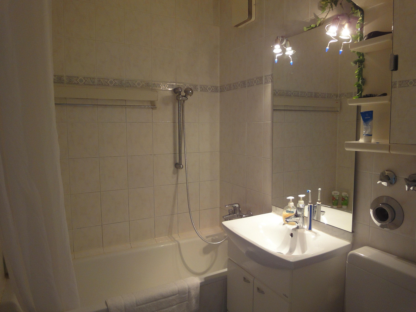 Traumblick auf Berlin-Mitte - 2 Zimmer - ideal zentral , Option PKW-Stellplatz - maklerfrei – Holzmarktstraße 69 - 12.06, 10179 Berlin(Mitte) – Vorschaubild 13