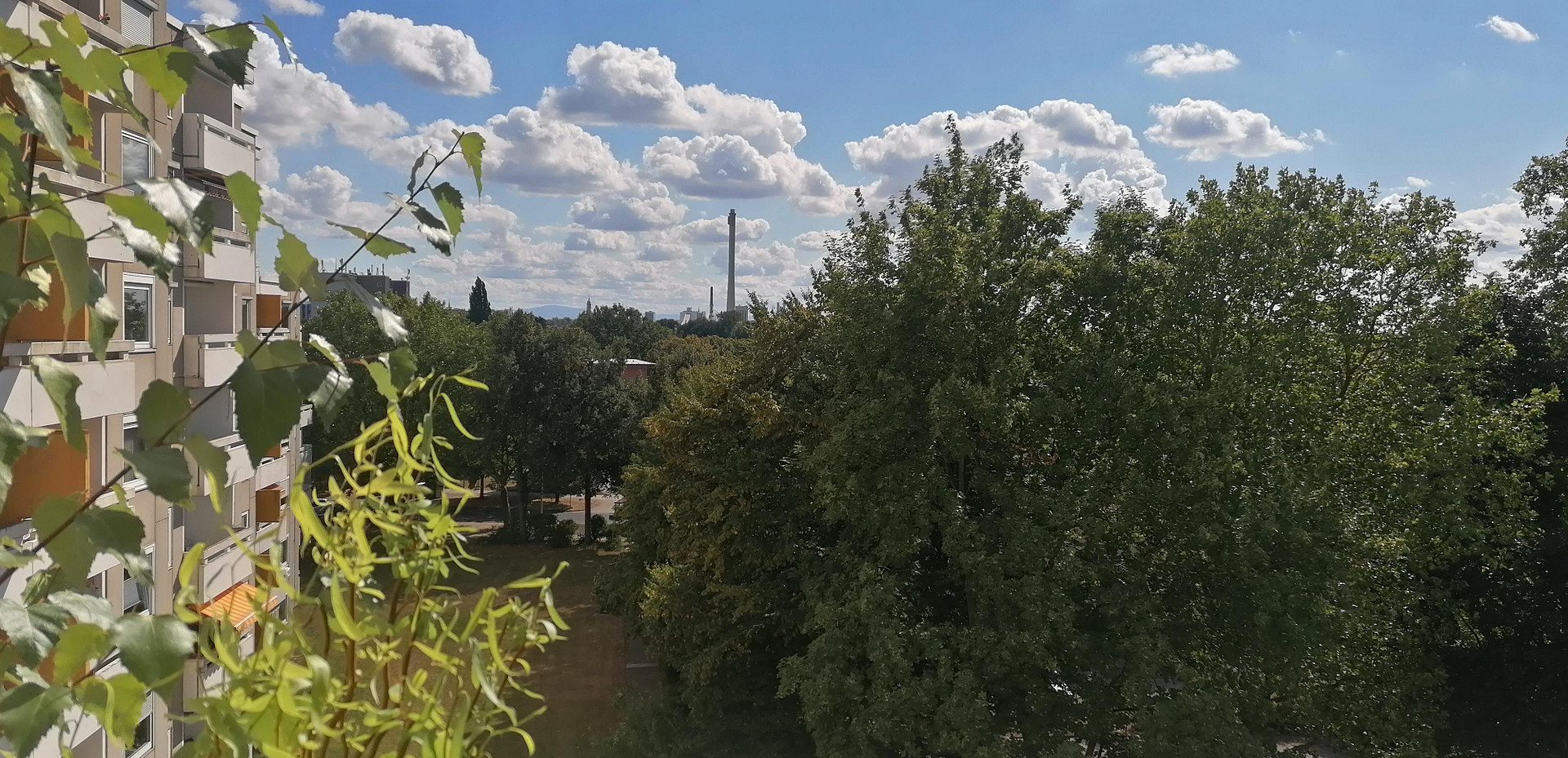 Von Privat: Schwarzer Berg! moderne 3-Zi-Whg, 2 Bäder, EBK, Loggia, Keller, Kfz-Stellplatz – Braunschweig – Vorschaubild 14
