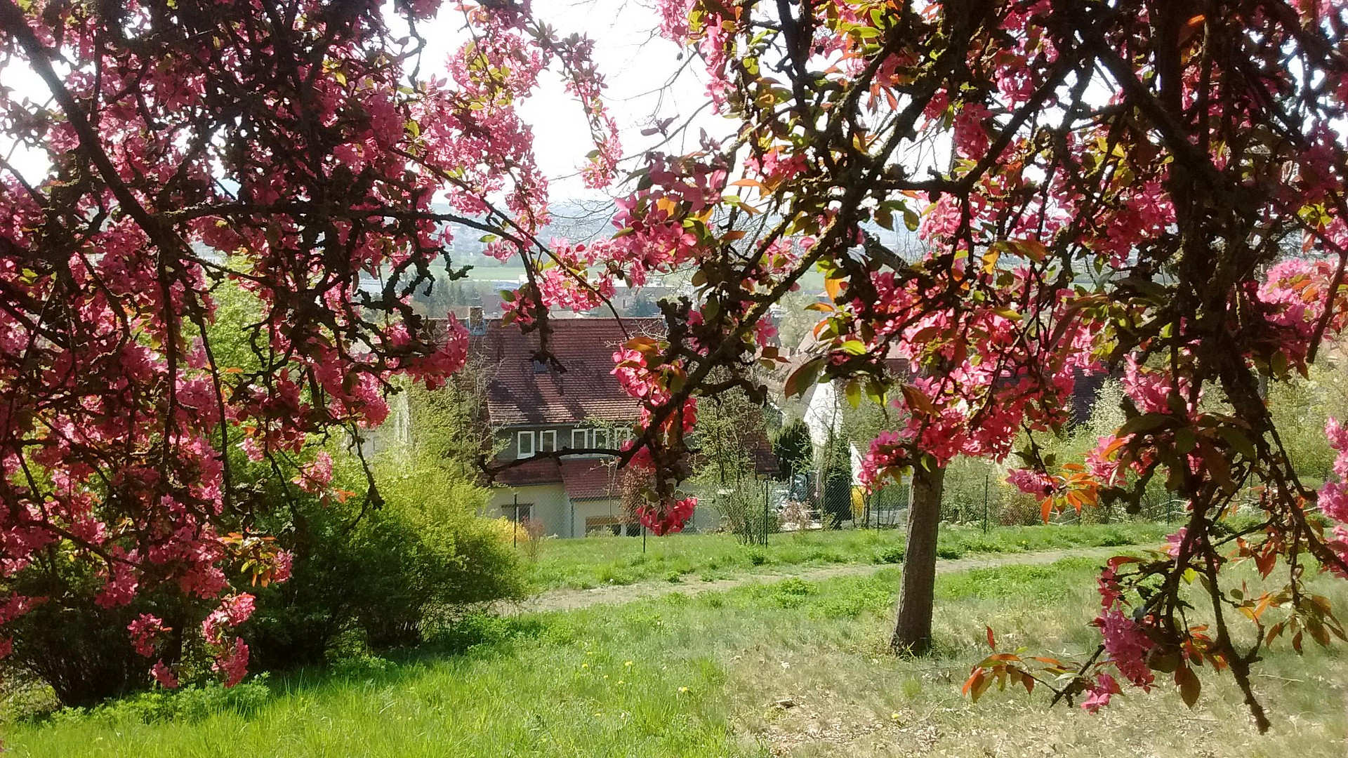 Zweifamilienhaus mit unverbaubarem Blick auf das Saaletal – Bad Neustadt an der Saale(Bad Neustadt a.d. Saale) – Vorschaubild 15