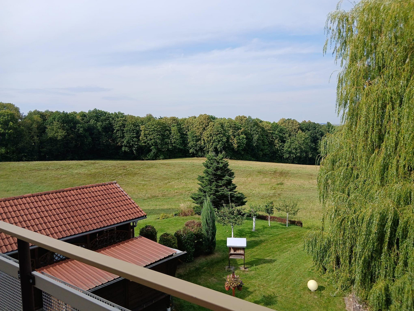 Wohn- & Geschäftshaus mit Einliegerwohnung | Leben & Arbeiten am Zittauer Gebirge – Zittau OT Eichgraben(Eichgraben) – Vorschaubild 5