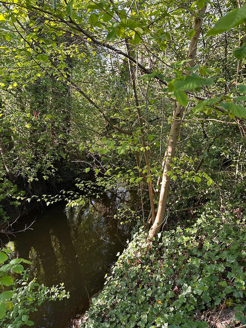 Traumhaus am Bach im toskanischen Stil – Hude(Hude (Oldb)) – Vorschaubild 3