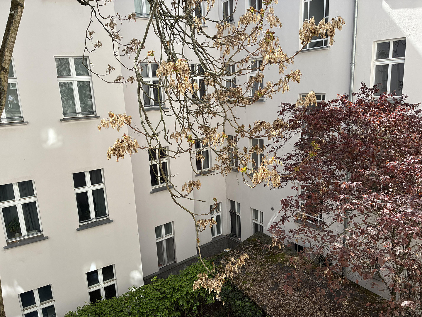 Privatverkauf: Nahe Helmholtzplatz! Absolut ruhig. Altbaucharme. Tolle Einbauküche. – Ahlbecker Str. 11 A, 10437 Berlin(Prenzlauer Berg) – Vorschaubild 16