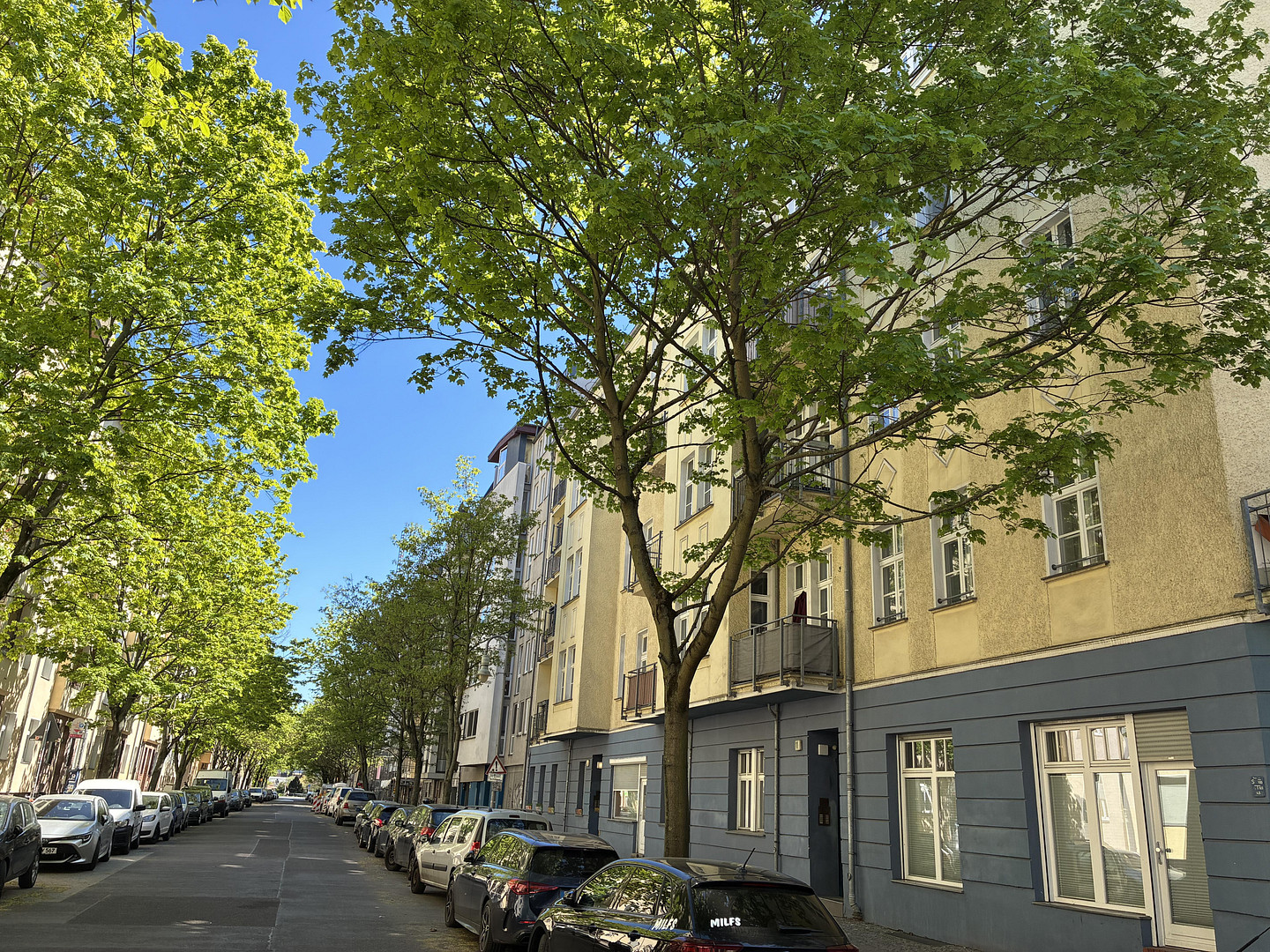 Privatverkauf: Nahe Helmholtzplatz! Absolut ruhig. Altbaucharme. Tolle Einbauküche. – Ahlbecker Str. 11 A, 10437 Berlin(Prenzlauer Berg) – Vorschaubild 17