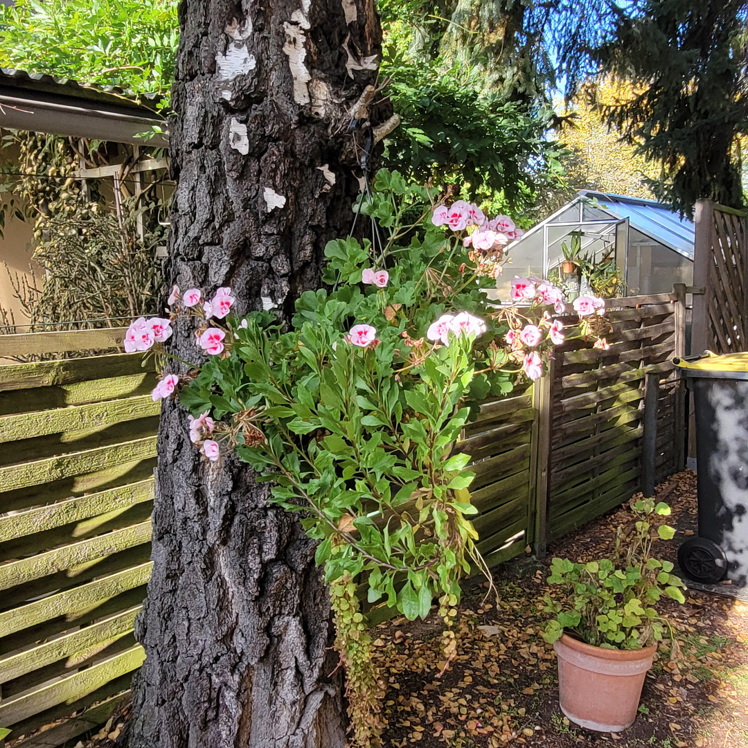 Provisionsfreies Einfamilienhaus – kernsaniert + Neubau-OG (2000), 800 m² Garten, Kamin, ruhige Lage – Berlin(Biesdorf) – Vorschaubild 25