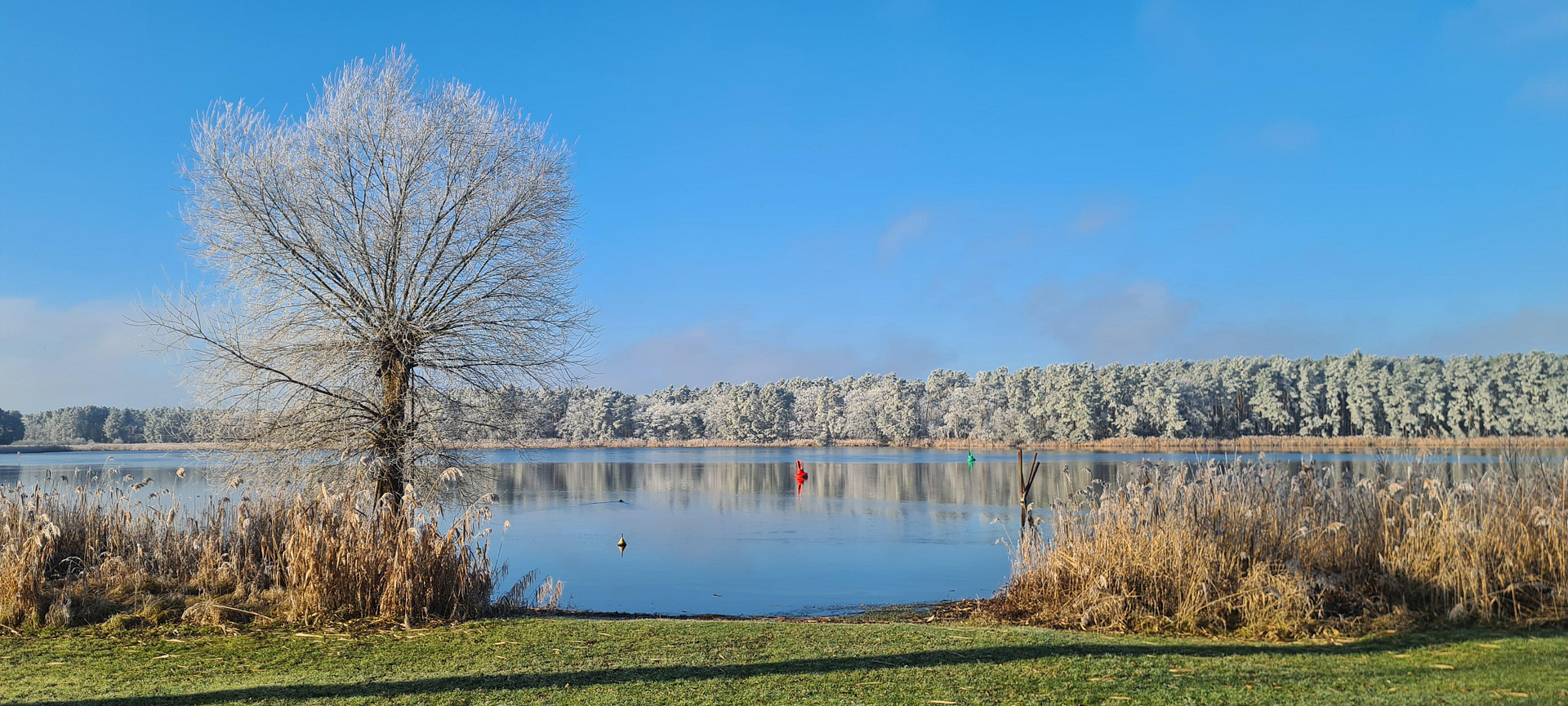 EFH mit Havelblick, Nebengelass & großem Grundstück in Briest – Ihr Sanierungsprojekt - pure Idylle – Dorfstraße 7, 14798 Havelsee(Briest) – Vorschaubild 7