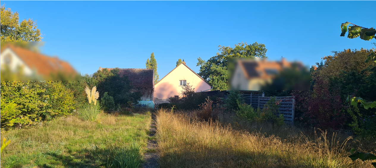 EFH mit Havelblick, Nebengelass & großem Grundstück in Briest – Ihr Sanierungsprojekt - pure Idylle – Dorfstraße 7, 14798 Havelsee(Briest) – Vorschaubild 6
