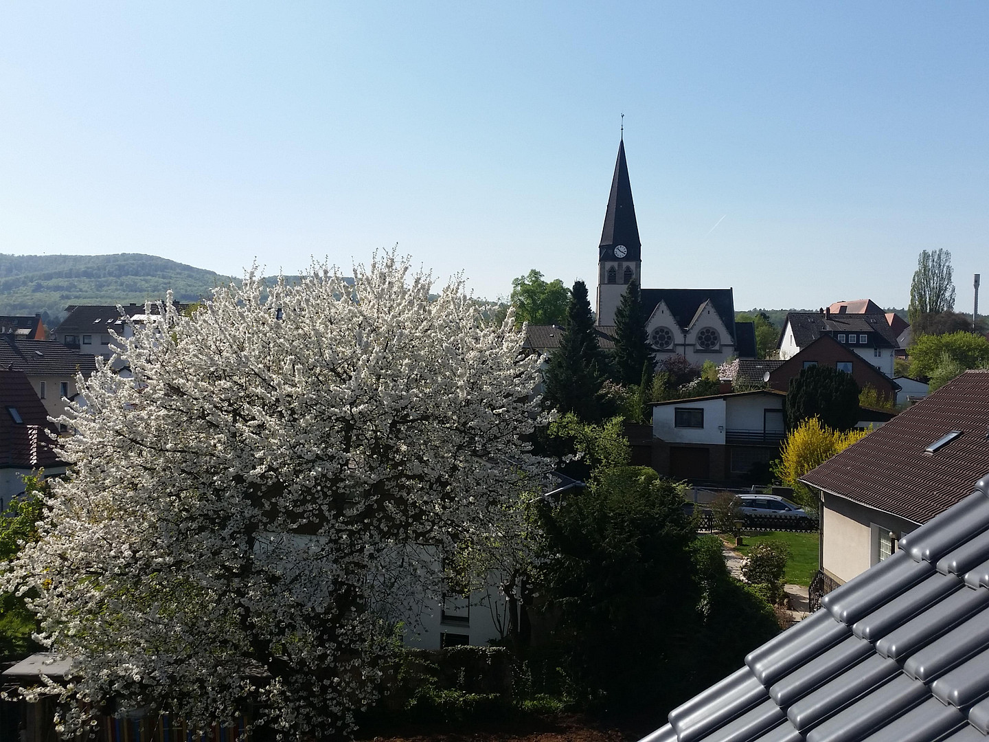 Traumhafte Dachgeschosswohung mit Blick zum Herkules – Harleshäuser Straße 133, 34128 Kassel – Vorschaubild 11