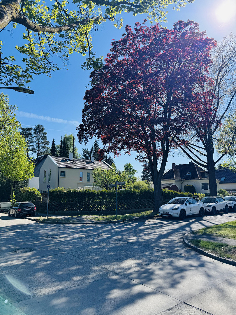 Saniertes freistehendes Architektenhaus mit großem Grundstück und viel Privatsphäre – Berlin(Hermsdorf) – Vorschaubild 2