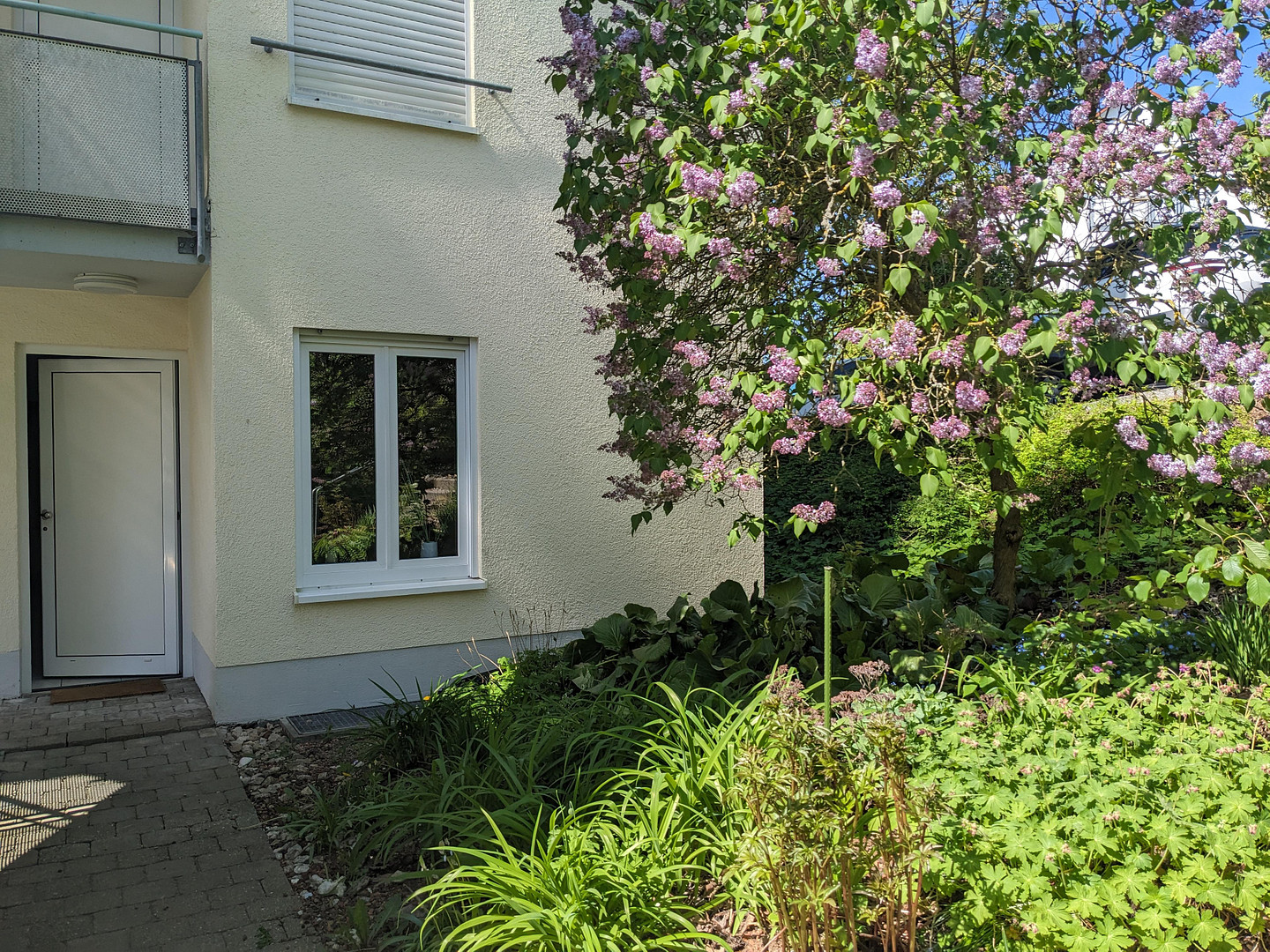 Sonniges Garten-Juwel am Ulmer Eselsberg West - bezugsfrei & provisionsfrei. – Ulm – Vorschaubild 21