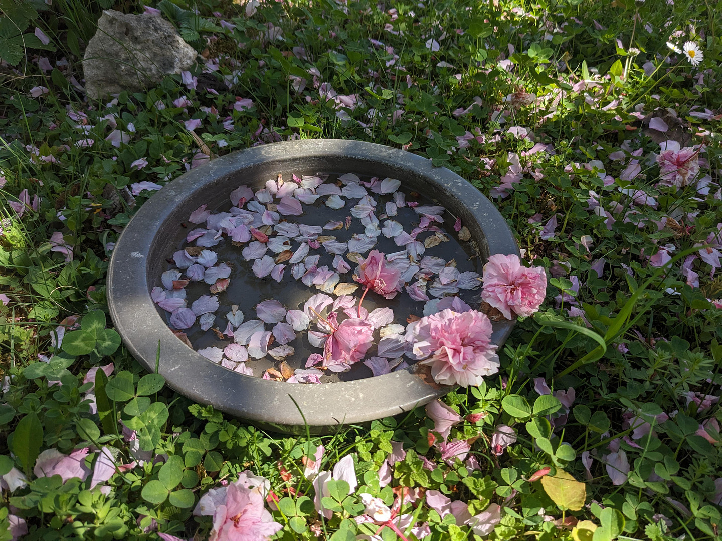 Sonniges Garten-Juwel am Ulmer Eselsberg West - bezugsfrei & provisionsfrei. – Ulm – Vorschaubild 29