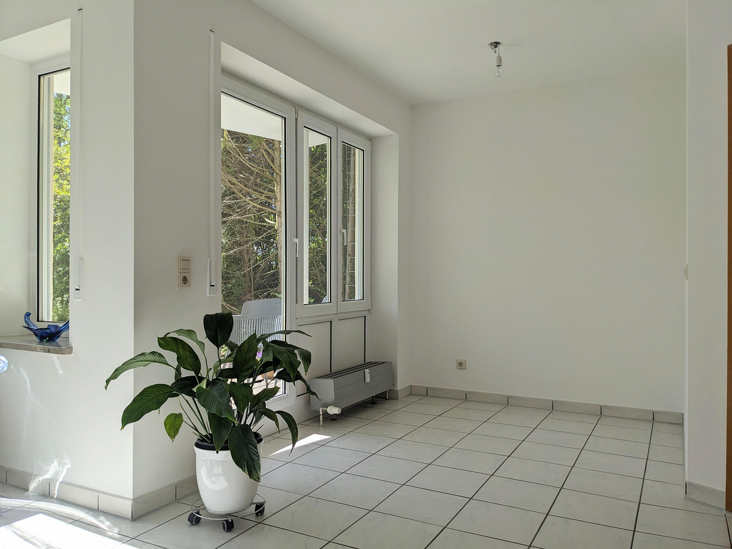 Sonniges Garten-Juwel am Ulmer Eselsberg West - bezugsfrei & provisionsfrei. – Ulm – Vorschaubild 4