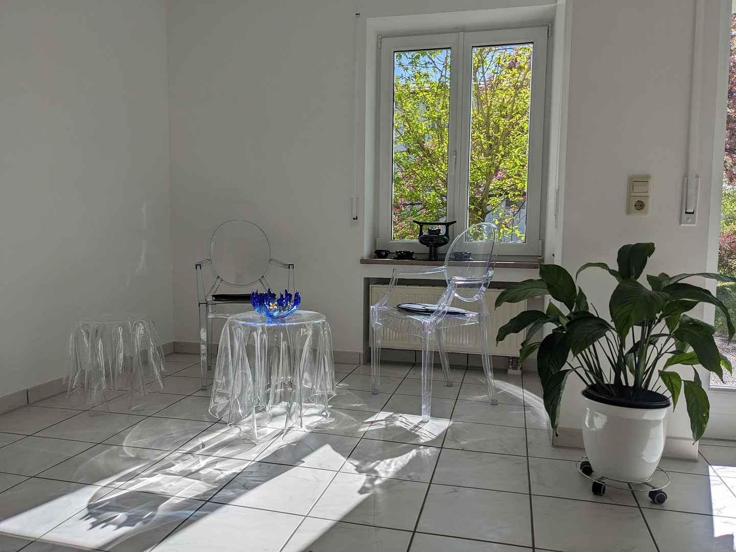 Sonniges Garten-Juwel am Ulmer Eselsberg West - bezugsfrei & provisionsfrei. – Ulm – Vorschaubild 3