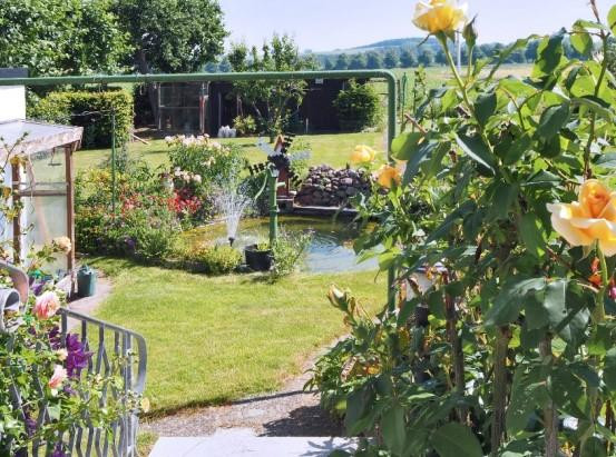Freistehendes Einfamilienhaus mit großem Garten in Wennigsen OT Bredenbeck – Tulpenstraße 29, 30974 Wennigsen(Bredenbeck) – Vorschaubild 19