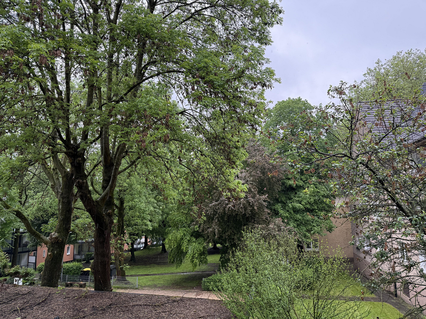 renovierte Wohnung mit Balkon und Blick ins Grüne – 45143 Essen(Altendorf) – Vorschaubild 13