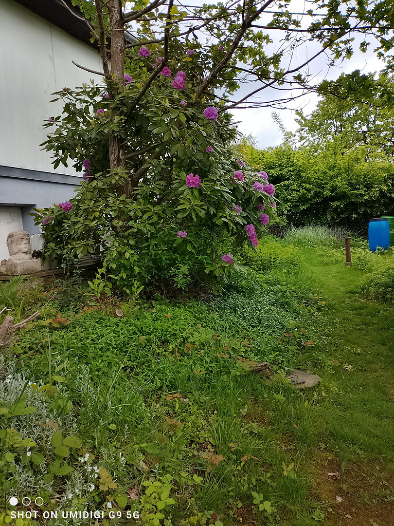 Einfamilienhaus in Neunkirchen-Seelscheid – Neunkirchen-Seelscheid – Vorschaubild 18